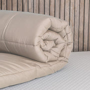 2-in-1 4 Seizoenen Dekbed Zonder Overtrek Beige